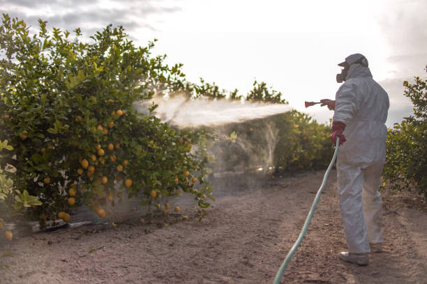 Best Cockroach Control Services  in North Fork, CA